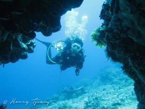 enjoy diving