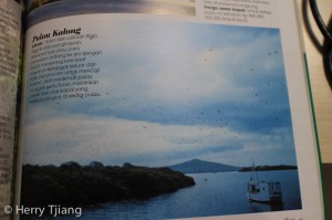 My Trip magazine, foto komodo island dan Hongkong