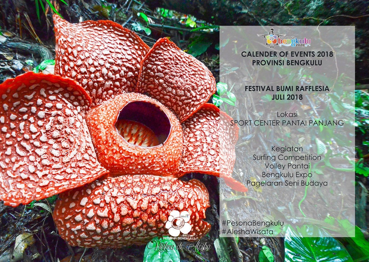 bumi rafflesia festival